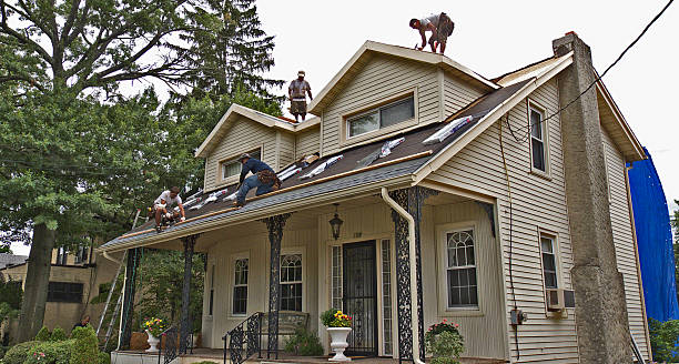 Best Roofing Contractor Near Me  in Olga, FL