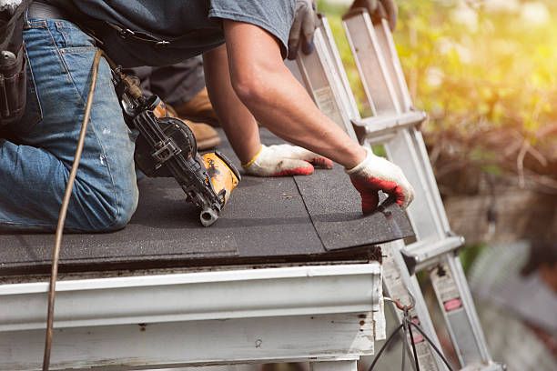 Roof Gutter Cleaning in Olga, FL